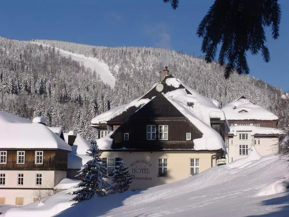 Hotel Domovina